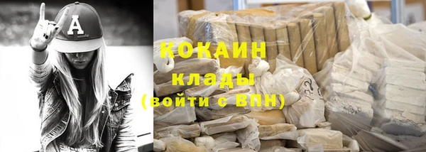 стаф Зерноград