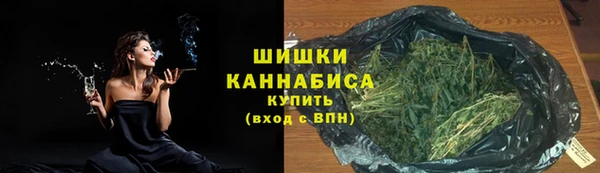 стаф Зерноград