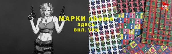 стаф Зерноград