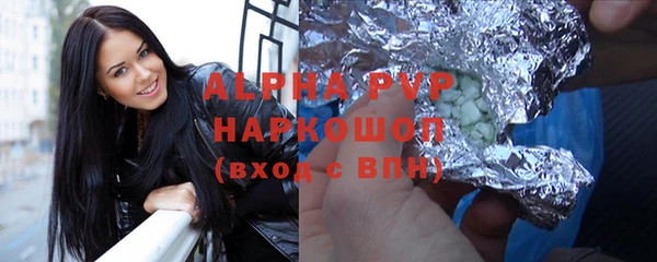 стаф Зерноград