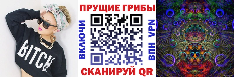 площадка наркотические препараты  Междуреченск  Псилоцибиновые грибы мицелий 